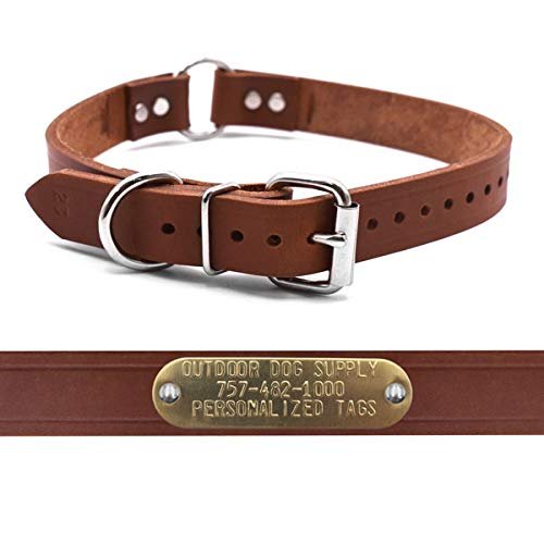Leather Dog Collar Strap with Custom Brass Name Plate (D Ring & Center Ring, 1" W 19" L)