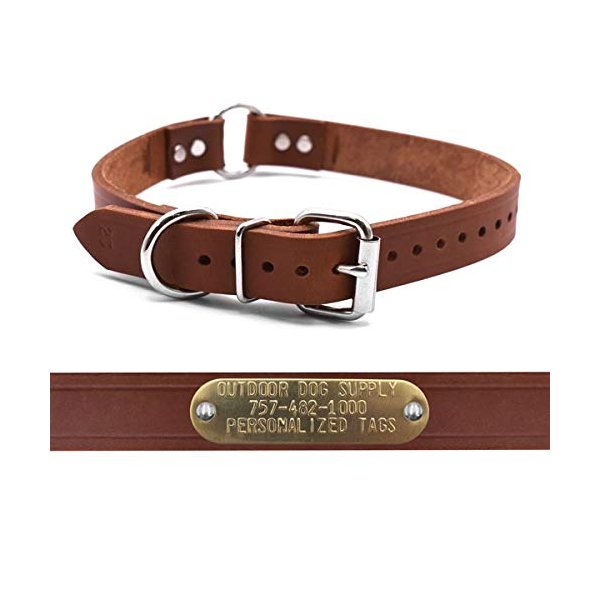 Leather Dog Collar Strap with Custom Brass Name Plate (D Ring & Center Ring, 1" W 19" L)