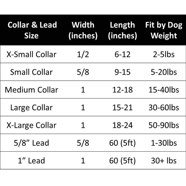 The Worthy Dog Sunburst Purple Leash for Small Dog Made of Nylon - 5ft Comfortable Strong Breathable Leash for Walking Dogs Purple Size- Small