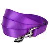 Blueberry Pet Essentials 21 Colors Durable Classic Dog Leash 5 ft x 5/8", Dark Orchid, Small, Basic Nylon Leashes for Dogs