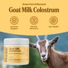 Mayfair Naturals Goat Milk Colostrum Powder, Grass Fed, Natural Immune System and Gut Health Support, 60 Grams