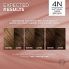 L’Oréal Paris Excellence Universal Nudes Permanent Hair Color, Ammonia Free Hair Dye for Gray Hair Coverage, 4N Natural Dark Brown, 1 Hair Dye Kit