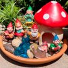 Safari Ltd. Gnome Family TOOB - Hand-Painted, 6 Pieces Lifelike Model Figures - Fun Educational Fantasy Toy for Boys, Girls & Kids Ages 3+