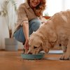 Coomazy Silicone Slow Feeder Dog Bowls, Slow Down Pet Eating Speed for Prevent Choking Promote Digestion, Green