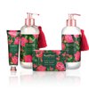 PAINT&PETALS Cranberry and Rose Scented Liquid Hand Soap, 11.8 Fluid Ounces