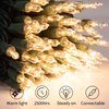 Clear Christmas String Lights 100 Count 25 Feet Incandescent Bulb Mini Lights for Indoor Xmas Tree Garland Birthday Wedding Party Festival Decoration, Green Wire