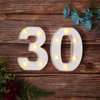 30th Birthday Decorations Numbers Light up Letters Plastic LED Light Up Letters Figure Fairy Birthday Party Supplies Battery Operated Numbers for 30th Happy Birthday Anniversary Event