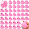 Hungdao 48 Pcs 2 Inch Mini Rubber Ducks for Kids Children Party Favors Bulk Bath Ducks Summer Pool Floating Toys Rubber Ducks Birthday Gifts for Boys Girls Baby Shower Supplies (Pink)