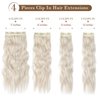 REECHO Hair Extensions, 4PCS Clip in Hair Extensions HE001 Natural Soft Synthetic Hairpieces for Women, Platium Blonde