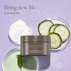 EXUVIANCE Gentle Daily Exfoliating Face Pads with PHA, Vitamin C and E Antioxidants, Green Tea and Cucumber Extracts, 60 pads