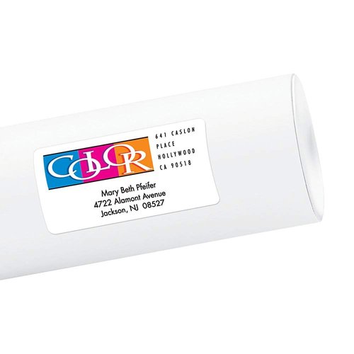 Avery Matte White Shipping Labels, Sure Feed Technology, Permanent Adhesive, 2" x 4", 200 Labels (8253)