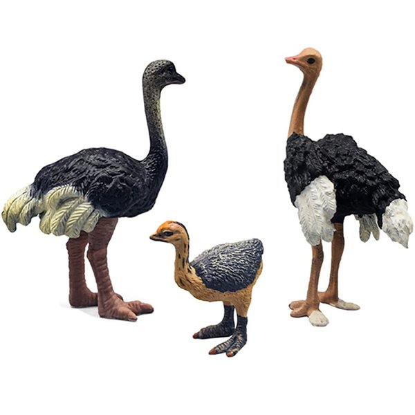DOYIFUN 3 Pcs Realistic Ostrich Family Figurines Cake Topper, Plastic Wildlife Ostrich Animal Toy Figures Collection Playset Birthdat Gift Educational Learning Props(Ostrich)