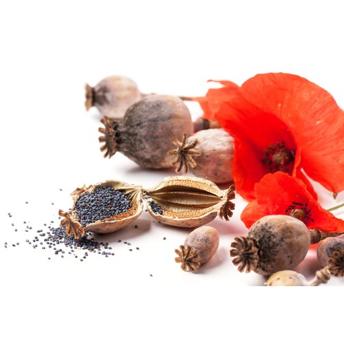 Sweet Essentials Organic Poppy Seed Oil | Imported From Turkey | 2oz Glass Bottle | 100% Pure | Cold-Pressed | Natural Moisturizer for Skin, Hair and Face