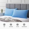 Avolare Cooling Pillow Cases, 2 Pack Arc-Chill Q-max>0.5 Cool Pillowcases for Hair Skin and Hot Sleepers, Soft Silky 20" x 30" Summer Pillow Cover with Zipper fit Standard & Queen Size Pillows - Blue