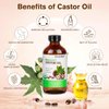 USDA Certified Organic Castor Oil Cold Pressed Unrefined 100% Pure in Glass Bottle - Natural Oil, Sore Muscle Massage Oil - Hexane Free for Skin, Hair Nail Eyebrows Growth - 8 Fl Oz