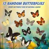 12 Pcs Real Butterfly Specimen - Taxidermy Butterfly DIY Creative Production, Taxidermy Animals for Framed Butterfly Shadow Box (Random)