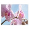Small World Greetings Orchid Flower Note Cards 24 Count - Blank Inside with White Envelopes - A2 Size 5.5" x 4.25" - Floral Stationery - All Occasion Birthday, Thank You, and More