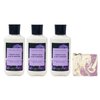 Bath & Body Works Violet Leaf & Blackberry 3 Piece Body Lotion Value Pack with a Lavender Dream Bar Soap - Full Size