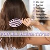 Daily Gard Detangling Brush, Dry and Wet Vented Detangler Hair Brush for Women and Men, Paddle Quick Drying Hairbrush for Wet/Dry/Curly/Thick/Long/Wavy/Damaged Hair, Purple