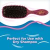 Wet Brush Shine Enhancer Paddle Brush, Sangria - Hair Detangler Brush with Ultra Soft Bristles, Infused With Natural Argan Oil, Shiny Detangle & Smooth Hair, Wet or Dry, For All Hair Types