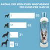 Bio-Groom Crisp Apple Dog Shampoo – Natural Scent Pet Shampoo, Aloe Vera, Chamomile, Cat & Dog Bathing Supplies, Puppy Wash, Cruelty-Free, Made in USA, Quick Rinse Cat Shampoo – 12 fl oz 1-Pack