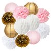 Baby Shower Decorations Furuix 12pcs Pink Gold Party Decorations Tissue Paper Pom Pom Honeycomb Ball and Paper Lantern for One Year Old Girls' Princess Birthday Decorations