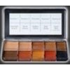 PPI Skin Illustrator Dark Fleshtone Makeup Palette Profession Stage Makeup