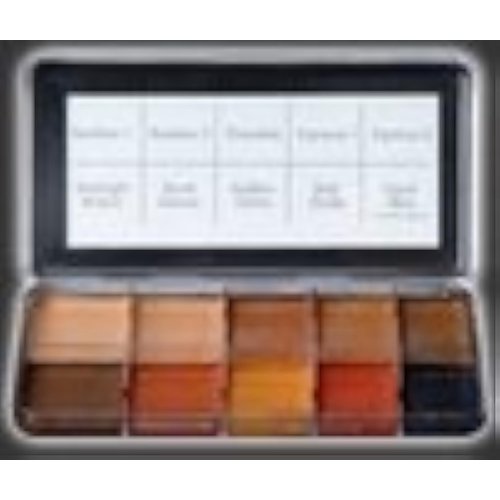 PPI Skin Illustrator Dark Fleshtone Makeup Palette Profession Stage Makeup