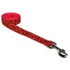 Medium Orange Leopard Dog Leash: 3/4" wide, 6ft length - Made in USA.