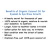 NatureCall Coconut Oil for Eyelash and Eyebrow Growth (pack of 1, 10ml bottle)