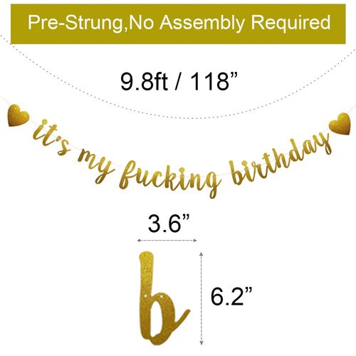 It's My Fucking Birthday Banner, Pre-Strung, Funny Gold Paper Glitter Party Decorations for Adult Birthday Party Supplies, Letters Gold,ABCpartyland