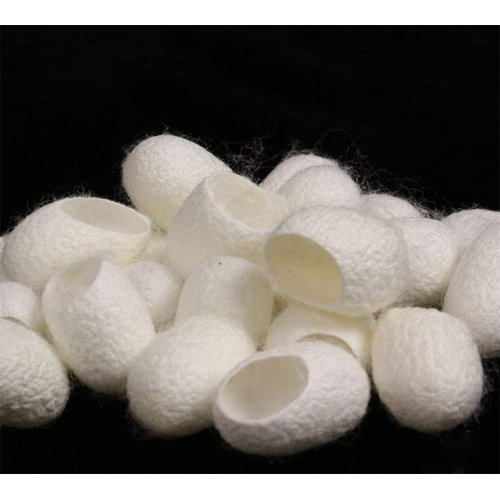 WOIWO 20 PCS Facial Cleanser With Natural Beauty, Wash Face, Cut Mouth, Cocoon Shell, Silk Ball