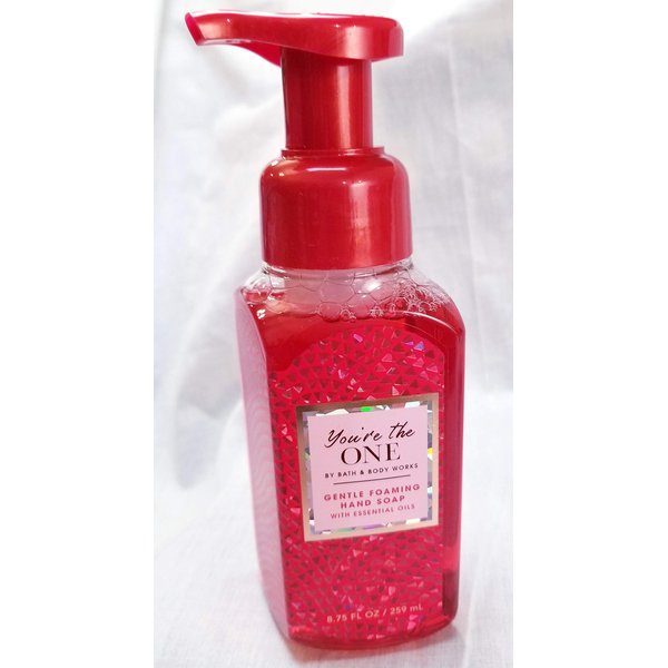 Bath Body Works Gentle Foaming Hand Soap You're The One