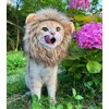 RosyLife Lion Mane Wig for Cat Costume Pet Adjustable Washable Comfortable Fancy Lion Hair Cat Clothes Dress for Halloween Christmas Easter Festival Party Activity (Brown)