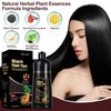 RILSIC Black Hair Dye Shampoo 3 IN 1, Herbal Natrual Hair Dye Shampoo Instant Hair Color Shampoo for Women Men - Grey Hair Coverage- Long Lasting-Black Hair Dye Coloring in Minutes(500ML) (Black)