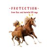 Pro-Force Equine Fly Mask | Horse Fly Mask with UV Protection | Adjustable Fit for Comfort | Without Ears