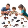 JOKFEICE Small Animal Figures for Kids, 16PCS Realistic Forest Animals Baby Figurines, Woodland Creatures Figurines, Educational Toys for Science Project Cake Party Decor