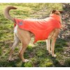 DOGHELIOS 'Lotus-Rusher' Waterproof 2-in-1 Pet Dog Jacket Coat with Removable Polar Fleece Lining w/ Blackshark technology, Medium, Orange, Charcoal Grey, Light Grey