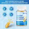 Liposomal Nattokinase 12,000 FU Serrapeptase 360,000 SPU Enzyme Supplement - Enriched with Synergistic Enzymes and Nutrient Blend & Inulin for Circulatory, Gut, Digestion 60 Capsules (1 Bottle)