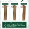RUNATURE Clip in Hair Remy Human Hair Clip in Extensions 16 Inches Golden Brown with Golden Blonde Highlighted Color 10P16 50g 3pcs Double Weft Clip on Hair Extensions
