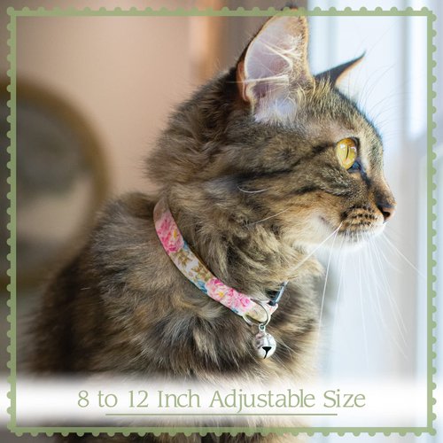 Country Brook Petz - Daisy Fields Cat Collar - Floral Collection with 8 Charming Designs