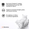 Momentous Creatine Lemon Monohydrate Powder Packets - Creapure® Creatine Powder Supports Strength, Lean Muscle, & Recovery for Men & Women - NSF Certified for Sport® - 6.49 g per Serving, 15 Servings