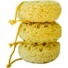 Michelle's Melting Pot Exfoliating Foam Sea Sponge, Natural Feel, Shower Loofah, Bath Sponge, Rich Lather (Set of 3)