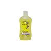 X-Air Deodorant Body Wash Maximum Strength Regular Aleeda 12 oz Body Wash For Unisex