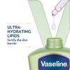 Vaseline Intensive Care Body Lotion for Dry Skin Soothing Hydration with Ultra-Hydrating Lipids + 1% Aloe Vera Extract to Refresh Dehydrated Skin 20.3 oz