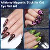 Allstarry 10pcs Nail Magnet Tool Set, Double-head Strong Suction Nail Magnet Stick Cat Eye Flower Design Nail Magnets Pen Plate Wand Board for 9D Strip Galaxy Magnetic Cat Eye Gel Nail Polish Nail Art