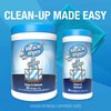 MiracleWipes for Glass, Disposable and Streak Free Cleaning Wipes for Mirrors, Windows, Kitchen, Home, and Auto- 60 Count