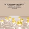 Dead Sea Collection Anti-Wrinkle Day Cream for Face with Hyaluronic Acid - Anti Aging - Skin Care with Sea Minerals - Nourishing, Moisturizer, Hydrating and Smoothing Face Cream (1.69 fl.oz)