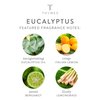 Thymes Hand Cream - 3 Fl Oz – Eucalyptus
