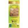 Garnier Nutrisse Nourishing Hair Color Creme, 80 Medium Natural Blonde (Butternut) (Packaging May Vary)